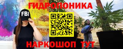 гашик Свободный