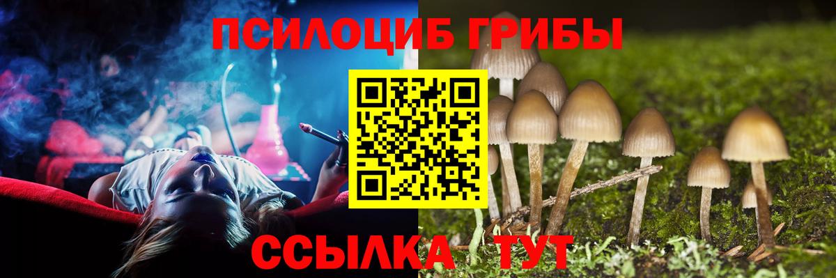 Галлюциногенные грибы ЛСД Нижнекамск